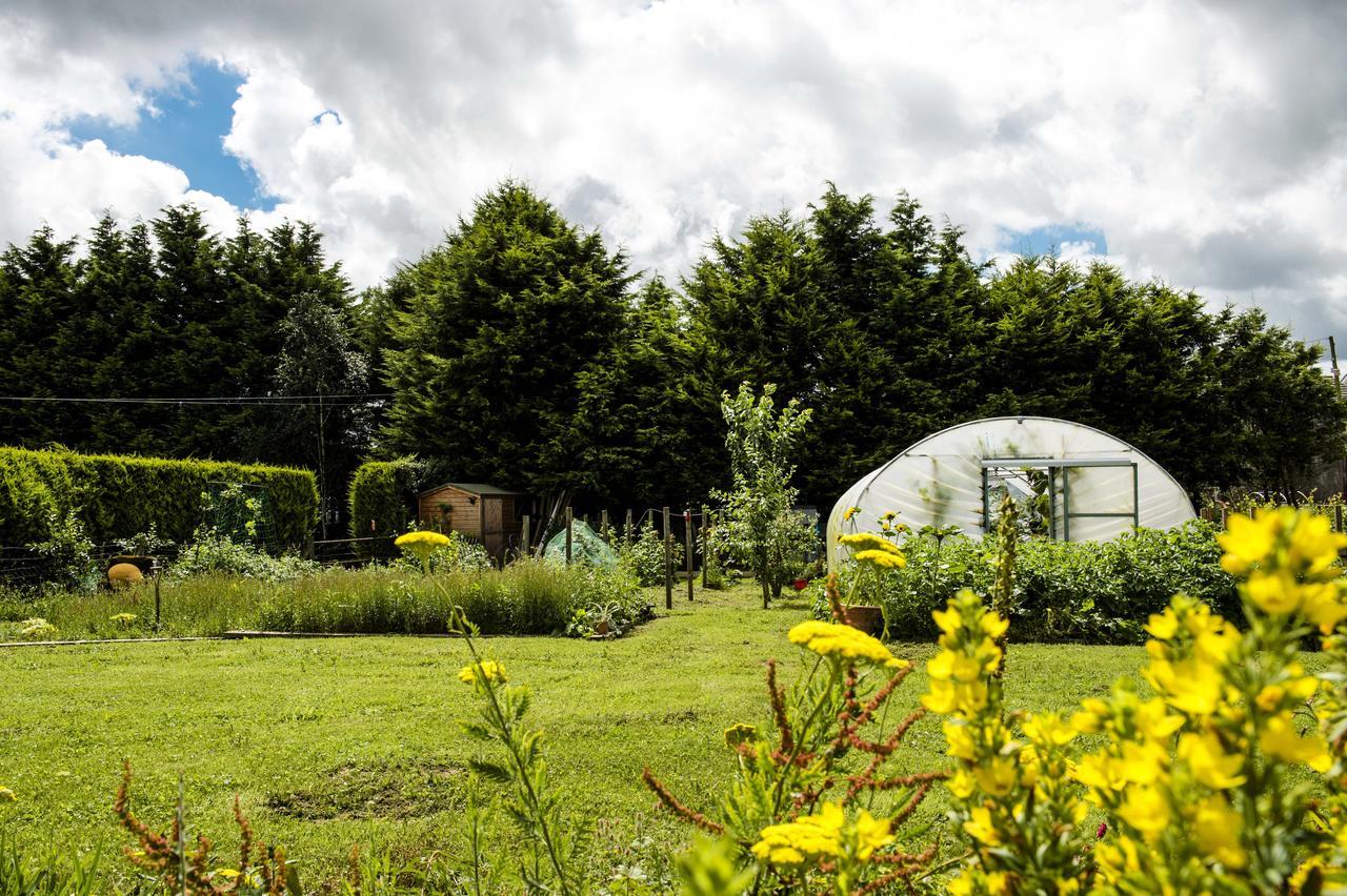Bed and Breakfast Peartree Hill Dundonald  Екстер'єр фото
